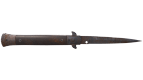 Rust Coat image