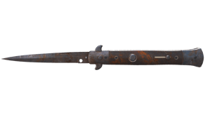 Rust Coat image