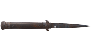 Rust Coat image
