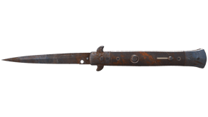 Rust Coat image