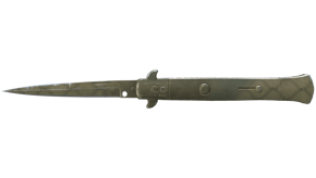 Safari Mesh image