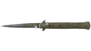 Safari Mesh image