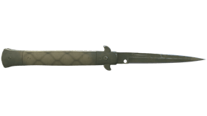 Safari Mesh image
