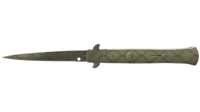 Safari Mesh image