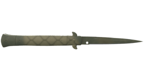 Safari Mesh image