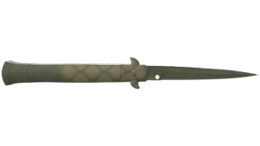 Safari Mesh image