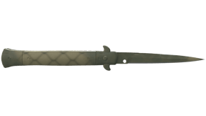 Safari Mesh image