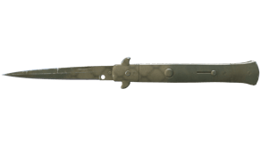 Safari Mesh image