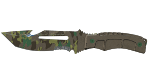 Boreal Forest image