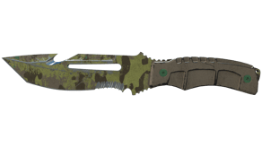 Boreal Forest image