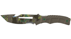 Boreal Forest image