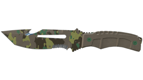 Boreal Forest image
