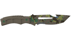 Boreal Forest image