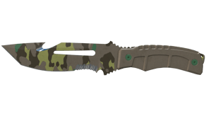 Boreal Forest image