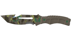 Boreal Forest image
