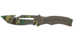 Boreal Forest image