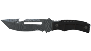 Damascus Steel image