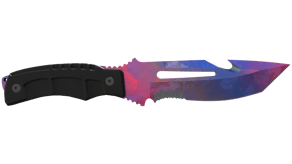 Doppler Phase 1 image