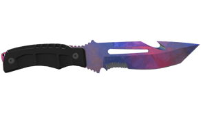 Doppler Phase 1 image