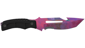 Doppler Phase 2 image