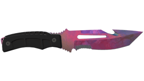 Doppler Phase 2 image