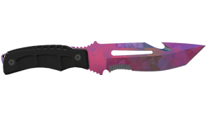 Doppler Phase 2 image