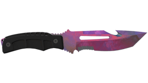 Doppler Phase 2 image