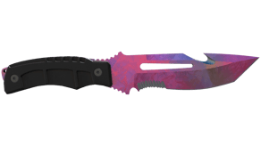 Doppler Phase 2 image