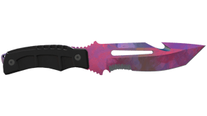 Doppler Phase 2 image