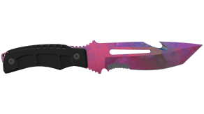 Doppler Phase 2 image