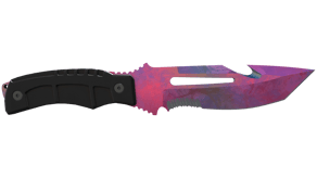 Doppler Phase 2 image