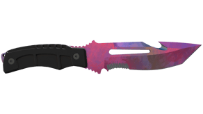 Doppler Phase 2 image