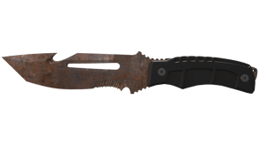 Rust Coat image