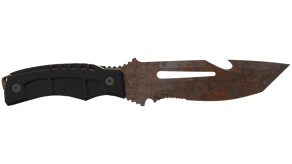 Rust Coat image