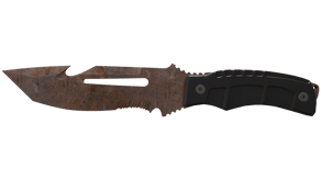 Rust Coat image