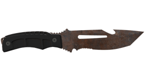 Rust Coat image