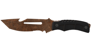 Rust Coat image