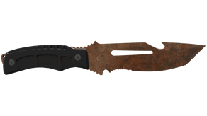 Rust Coat image