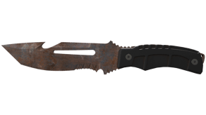 Rust Coat image