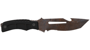 Rust Coat image