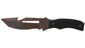 Rust Coat image