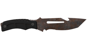 Rust Coat image