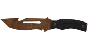 Rust Coat image
