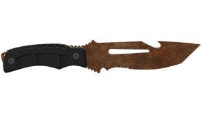 Rust Coat image
