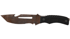 Rust Coat image