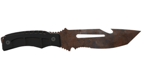 Rust Coat image