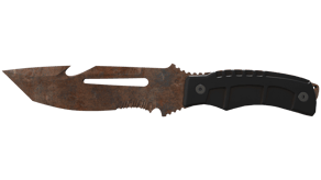Rust Coat image