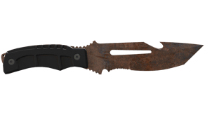 Rust Coat image