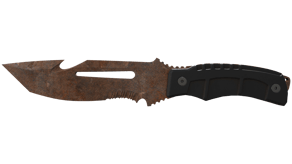 Rust Coat image