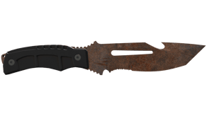 Rust Coat image